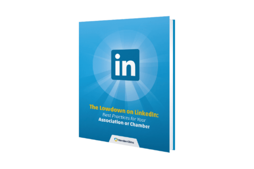The Lowdown on LinkedIn