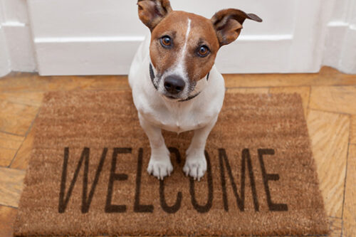 New Member Welcome Packet FAQs
